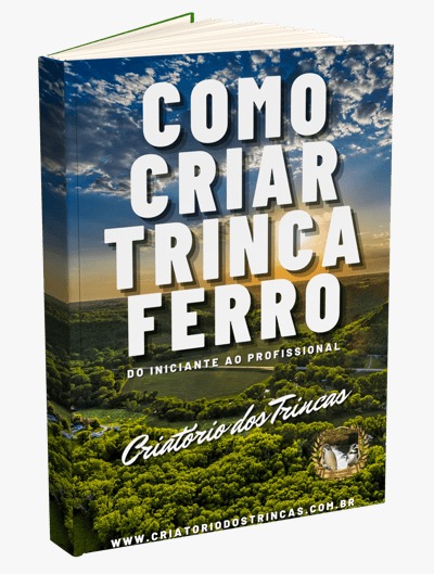 Como Criar Trinca Ferro do inicante ao Profissional